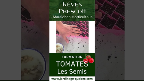 Semis de tomates à l’intérieur : méthode simple pour réussir facilement