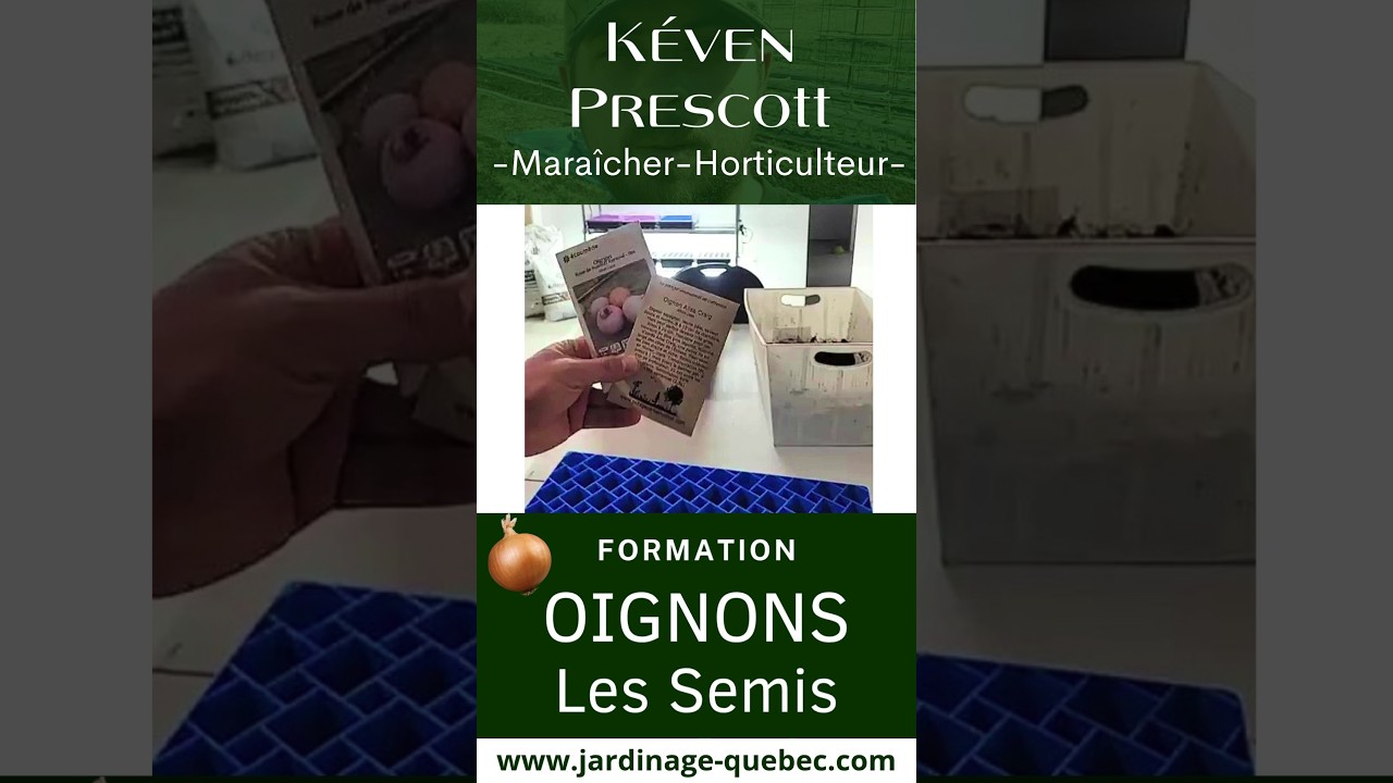 SEMIS D’OIGNONS À L’INTÉRIEUR : MÉTHODE COMPLÈTE ET EFFICACE