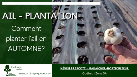 Comment plante de l'ail en automne