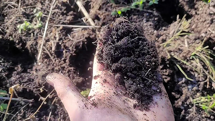 Mon sol vivant composé de matière organique