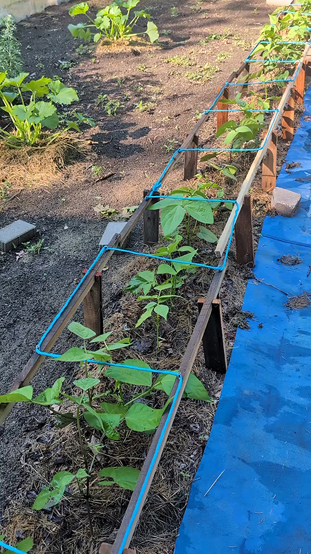 Support ou tuteur suivant le rang du jardin