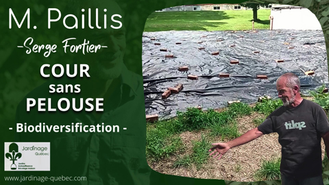 Créer une cour sans pelouse et biodiversifiée