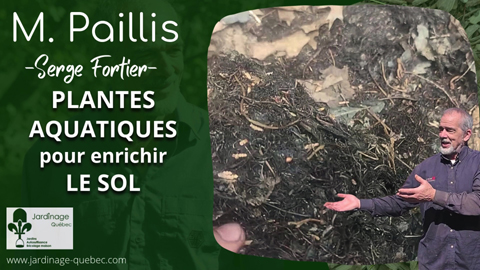 Plantes aquatiques pour enrichir le sol - Digestion de la matière organique