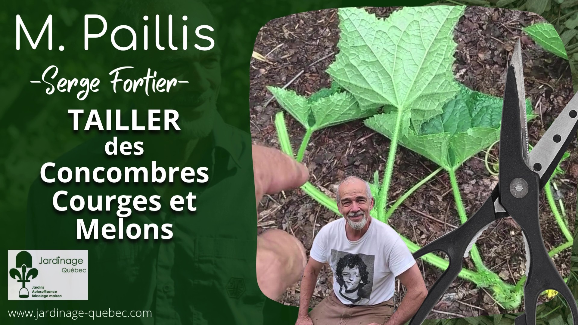 Tailler des concombres des courges et des melons
