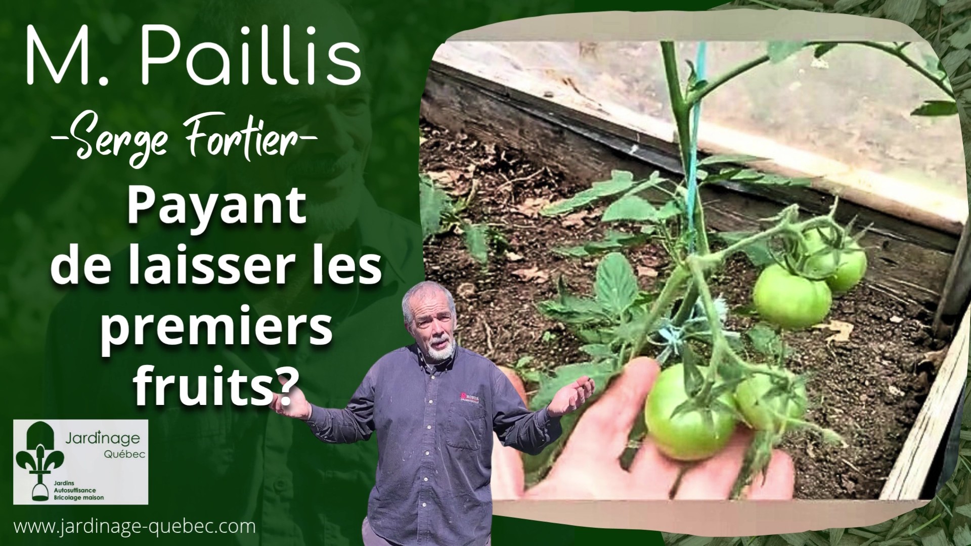 Tomates et Piments - Premiers fruits