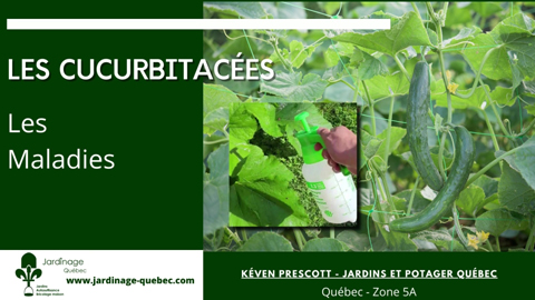 L'Oïdium et le mildiou