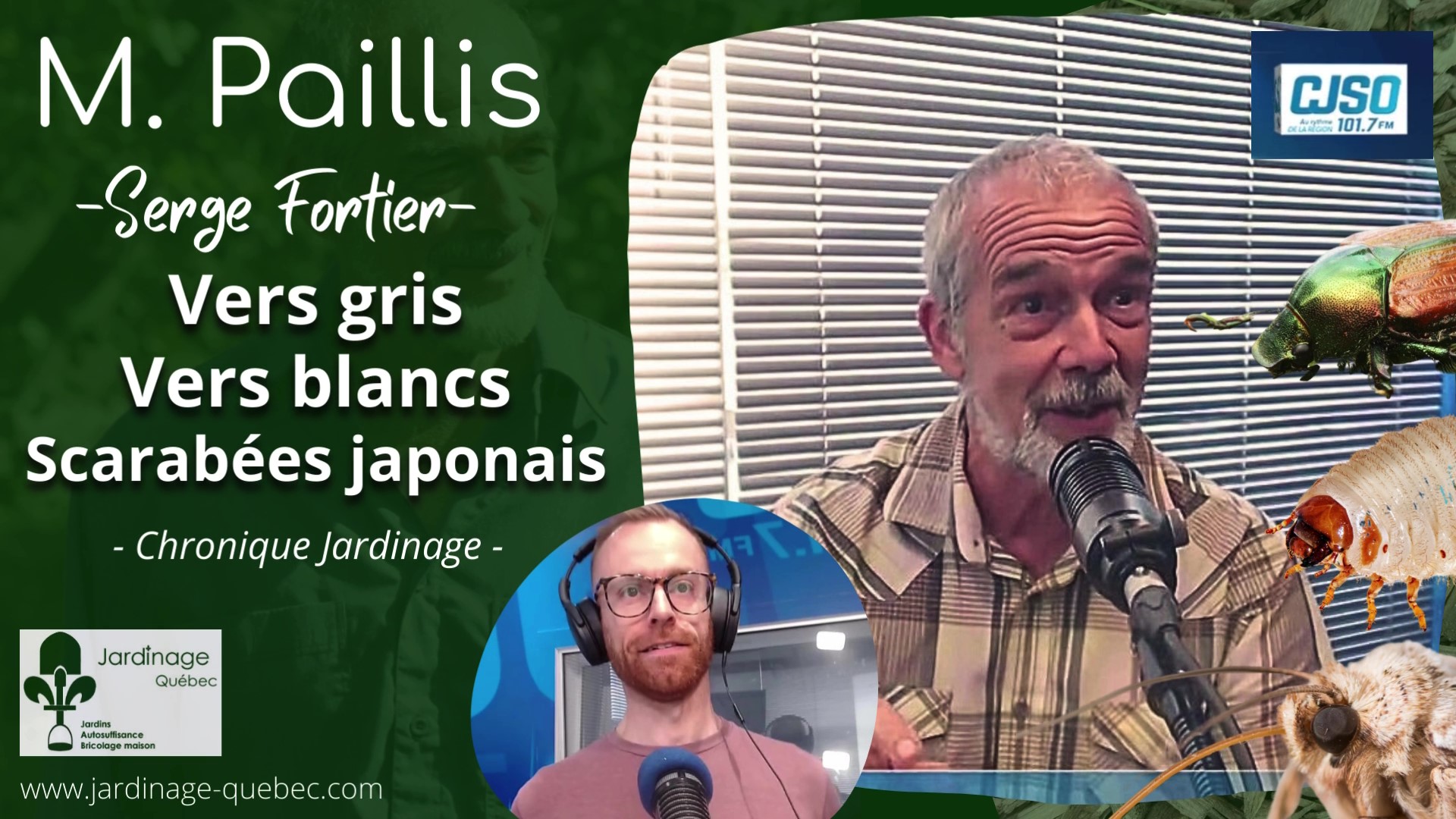 Vers Gris - Vers Blancs - Scarabéee japonais