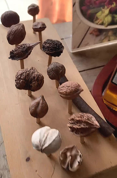 Noix et noisettes que l'on retrouve Au jardin des noix