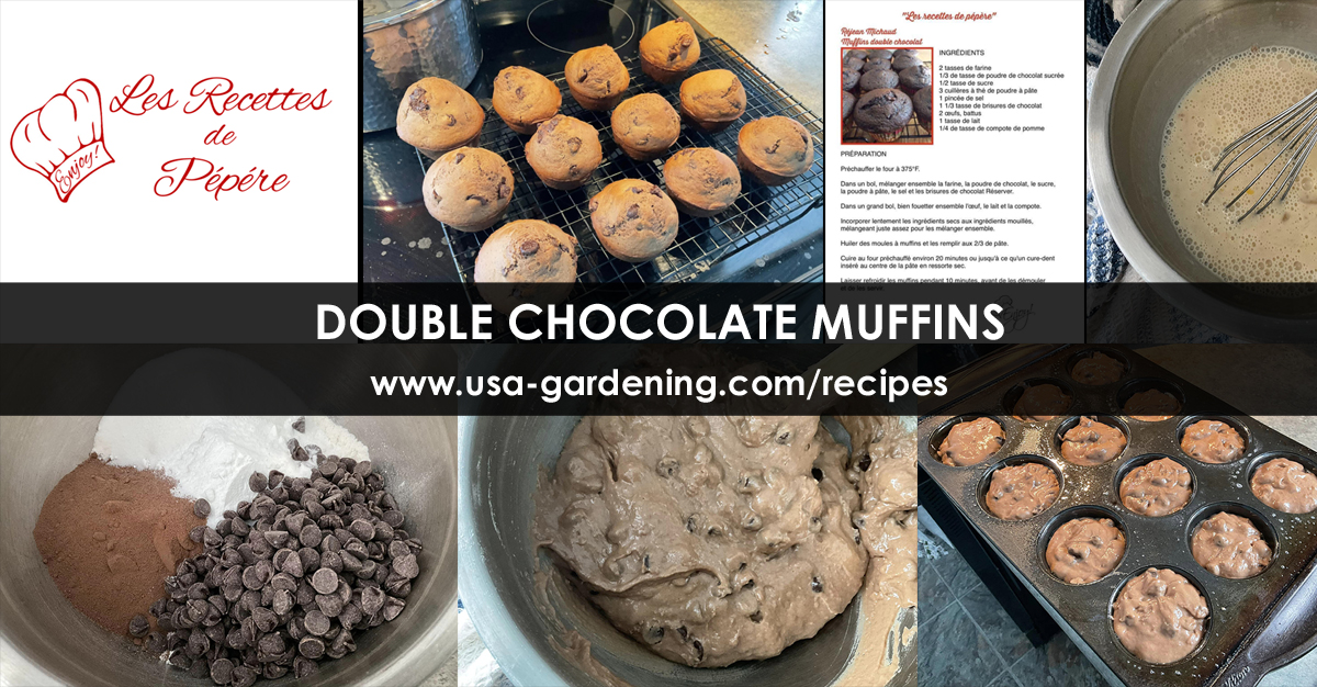 Double chocolate muffins recipe