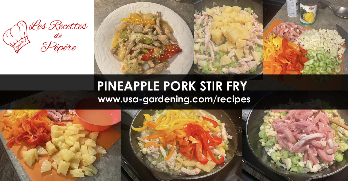 Pineapple Pork Stir Fry