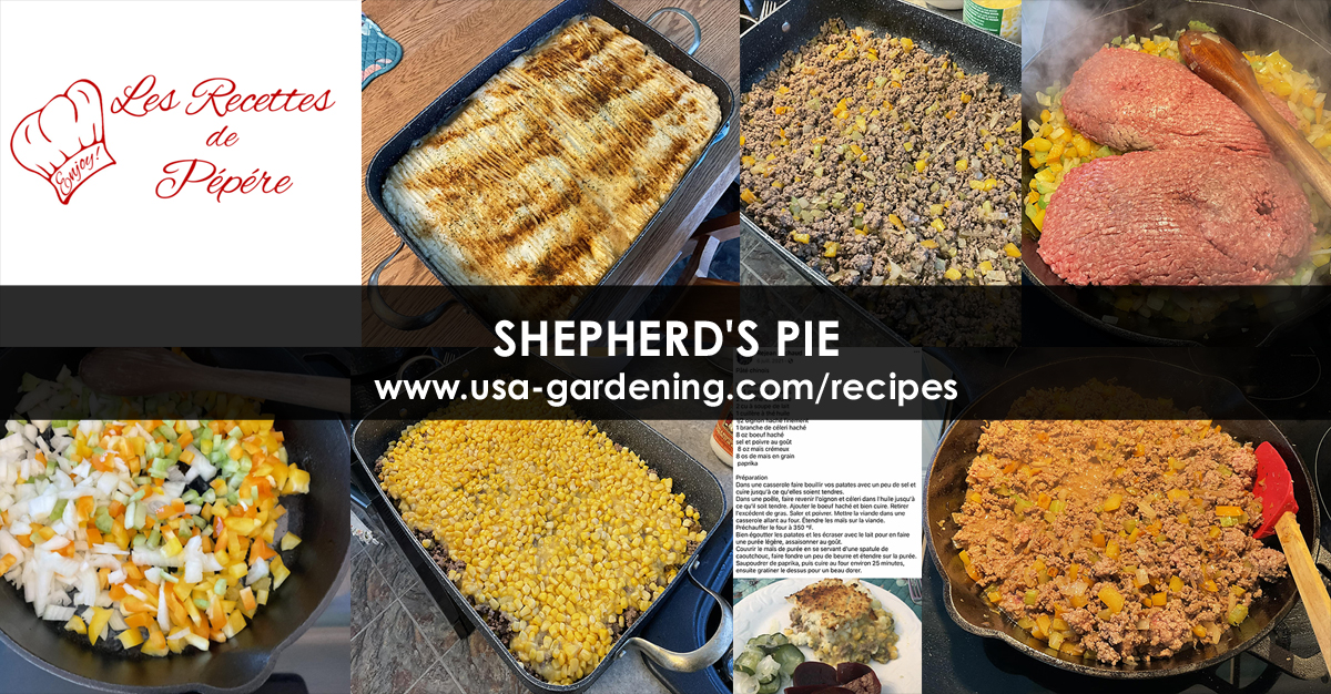 Shepherd's Pie recipe