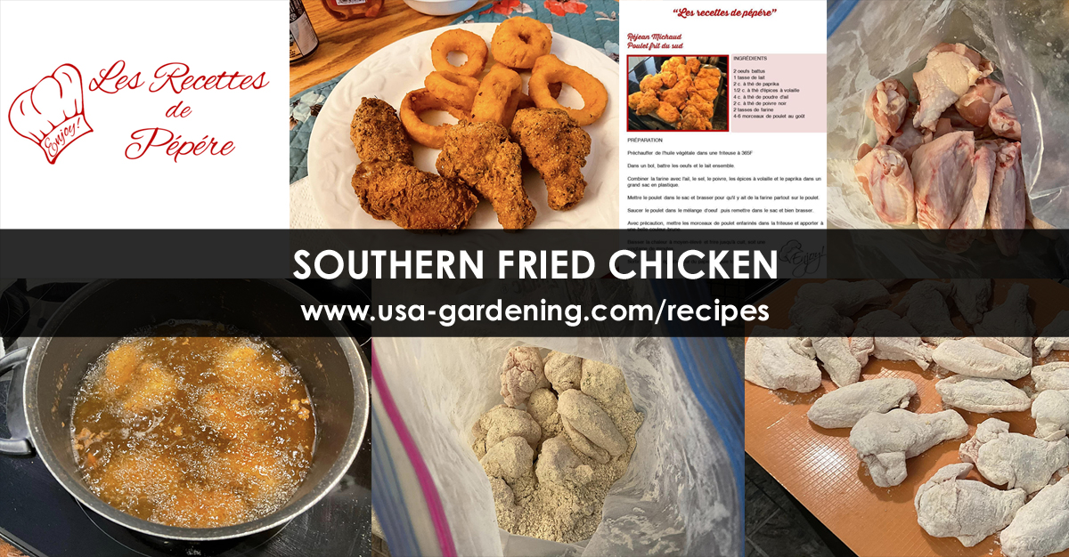 Southern Fried Chicken recipe