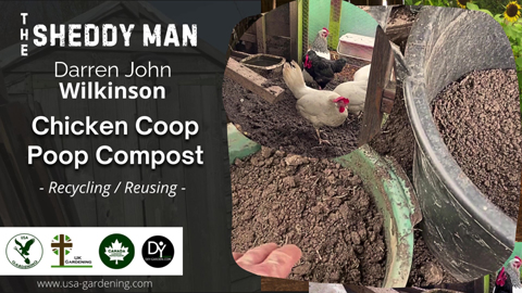 Chicken coop compost