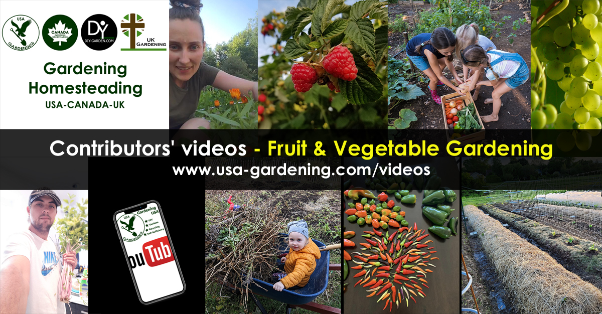 Fruit and Vegetable Garden Videos