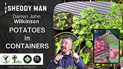 Growing potatoes in containers complete guide for early planting