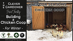 Chicken coop - How to build a four seasons chicken coop