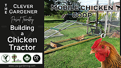 Chicken tractor or portable chicken ark - Building a mobile chicken coop on wheels