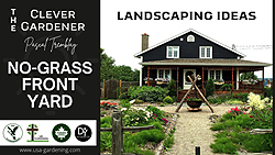 No-Grass Front Yard Landscaping Ideas