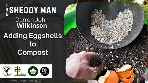 Adding eggshells to compost