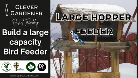 Large Hopper Bird Feeder Idea