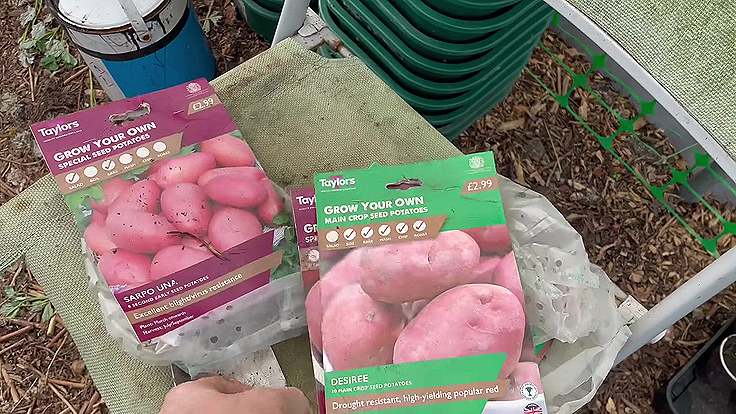 Choosing potato varieties
