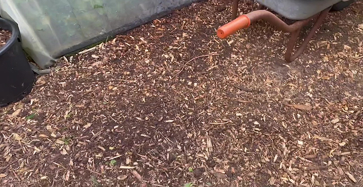 Small mulched garden area